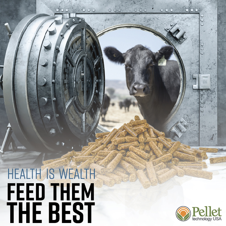 nebraska-cattleman-magazine